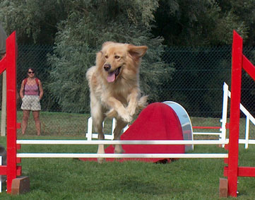 l'agility... Re0904016